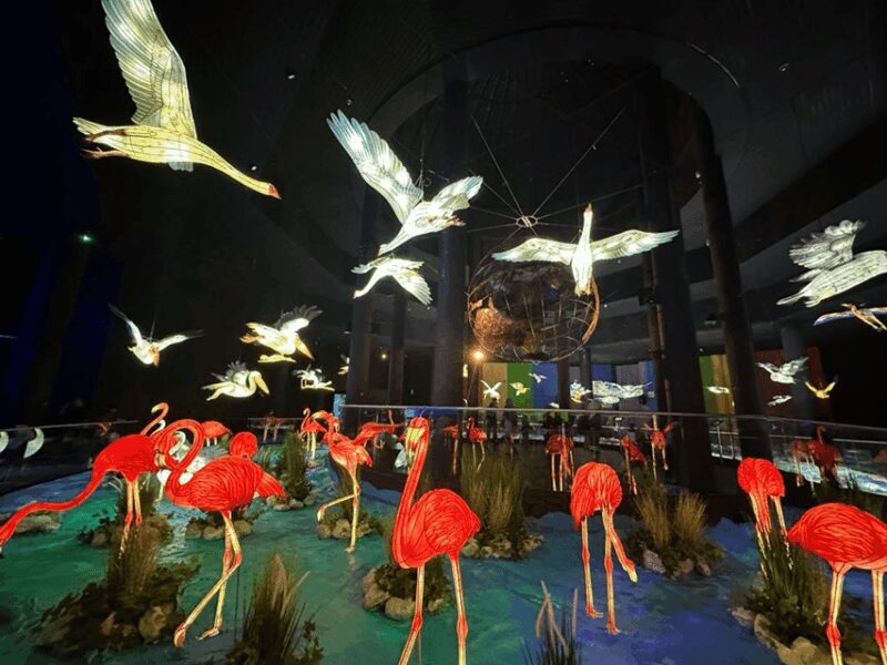 Putrajaya: Wetland Studios Admission Ticket - FAQs