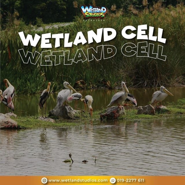 Putrajaya: Wetland Studios Admission Ticket - Authentic Experiences & Practical Tips