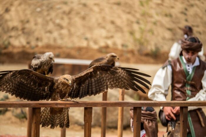 Puy Du Fou Spain Entry Ticket - Visiting Hours and Admission