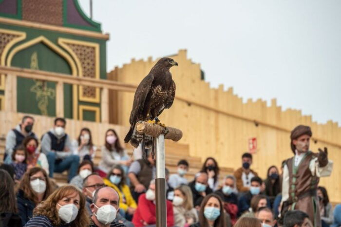 Puy Du Fou Spain Entry Ticket - Planning Your Visit