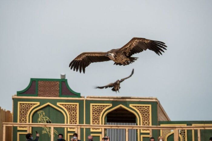 Puy Du Fou Spain Entry Ticket - Frequently Asked Questions