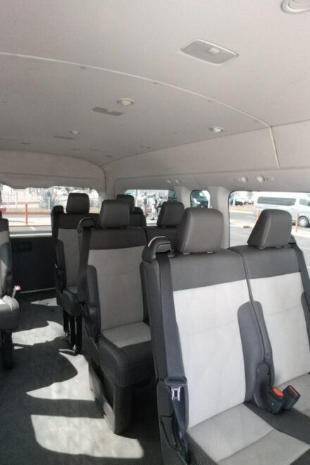 PVR: Airport to Punta Mita Transfer - Vehicle and Accessibility