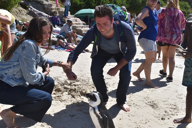 PVT Peninsula Tour Full-Day Classic Incl. All Entrance Fees - Pricing and Booking