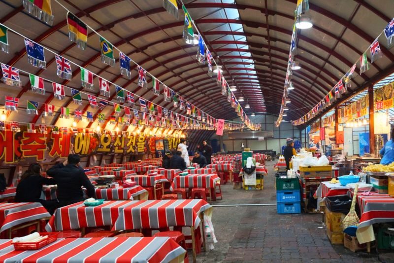 Pyeongchang Trout Festival: Tent Ice Fishing Experience - The road from Seoul to Pyeongchang