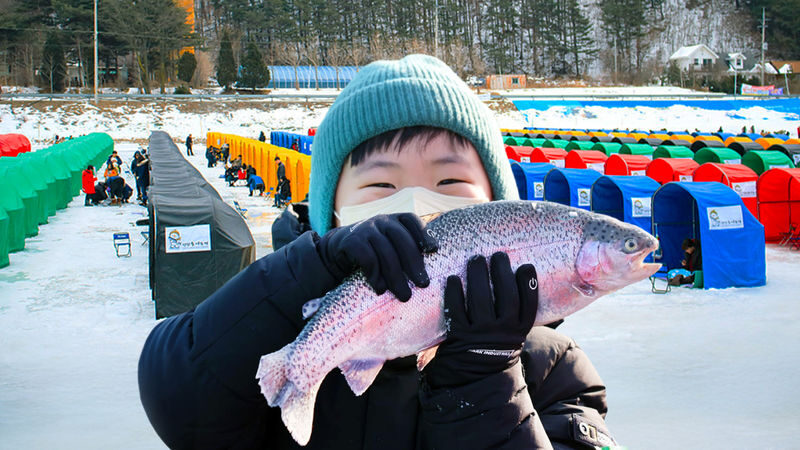 Pyeongchang Trout Festival: Tent Ice Fishing Experience - When the fish will not bite