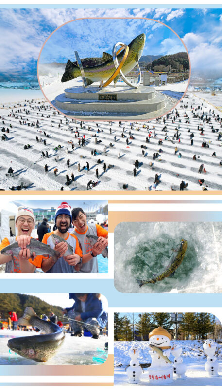 Pyeongchang Trout Festival: Tent Ice Fishing Experience - Should you book?