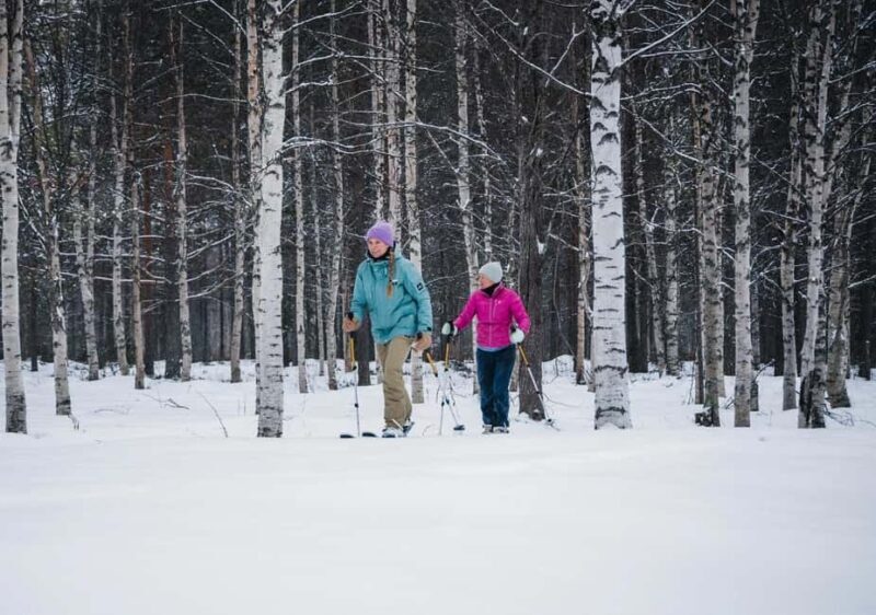 Pyhä: Skiing Tour in Arctic Forest - An Overview of the Experience