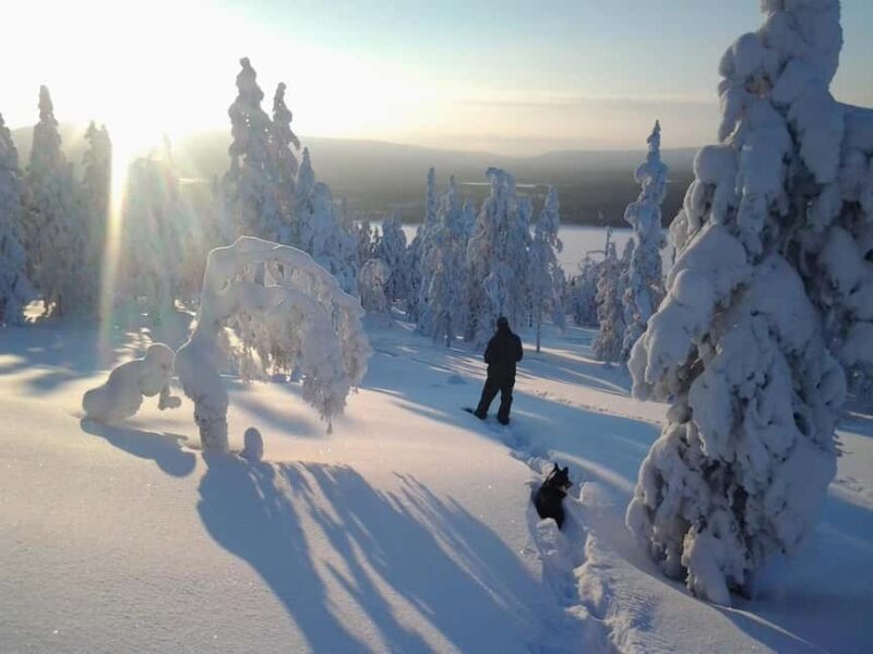 Pyhä: Skiing Tour in Arctic Forest - The Experience’s Best Fit