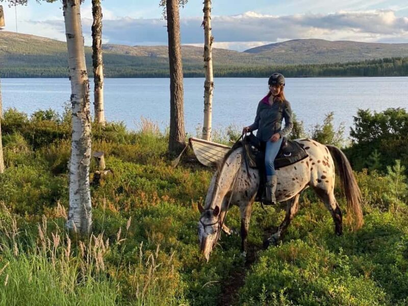 Pyhä: Small Group Horseback Riding Adventure - Good To Know