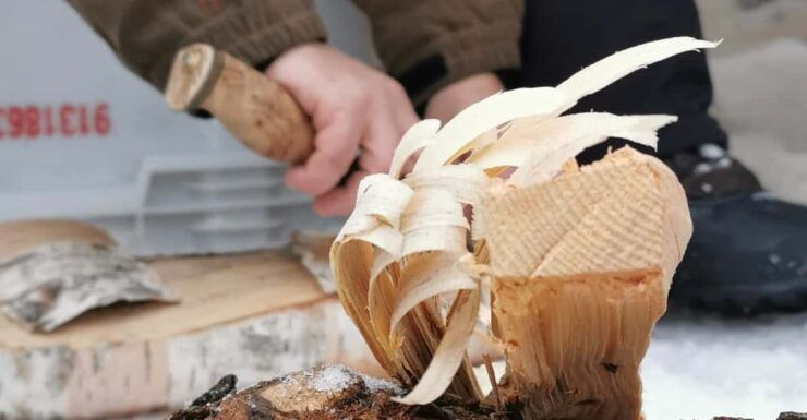 PyhäTunturi: Arctic Bushcraft Skills - Good To Know