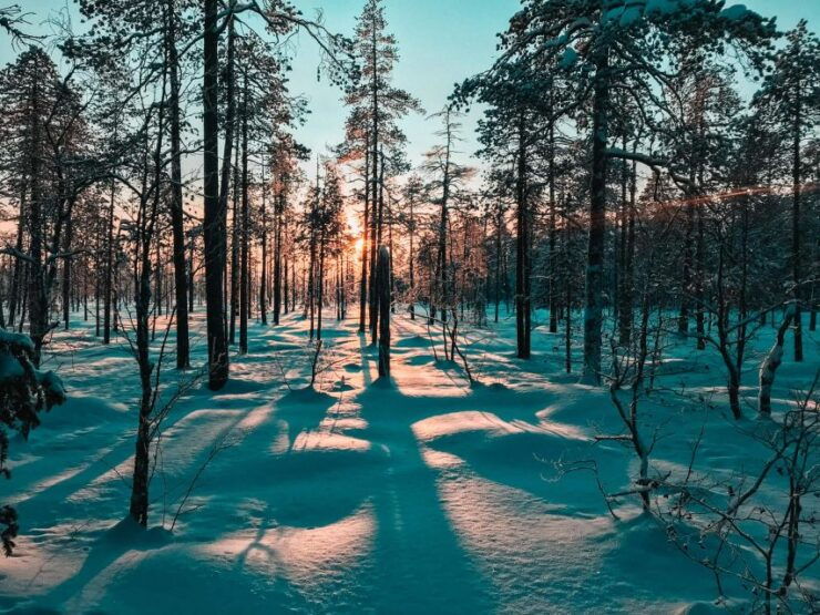 Pyhätunturi: Guided Snowshoeing Tour in Pyhä-Luosto - Tour Finnish Lapland With Snowshoes