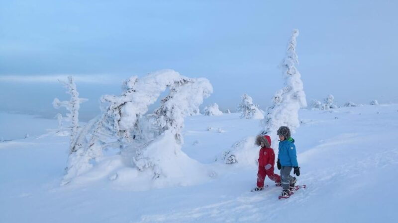 Pyhätunturi: Scenic Snowshoeing Tour in Finnish Lapland - FAQ