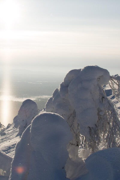 PyhäTunturi: Scenic Snowshoeing Tour in Finnish Lapland - Photography Opportunities