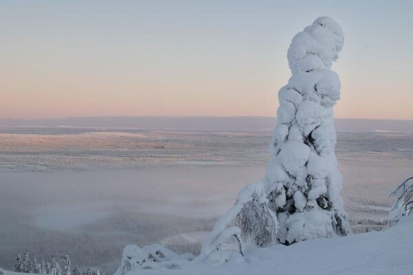 PyhäTunturi: Scenic Snowshoeing Tour in Finnish Lapland - Optional Experiences