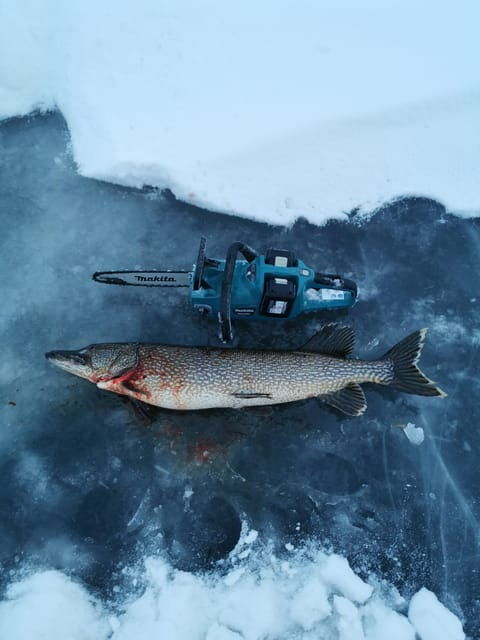 Pyhätunturi: Winter Fishing With Local Fisherman - Fishing Experience Highlights