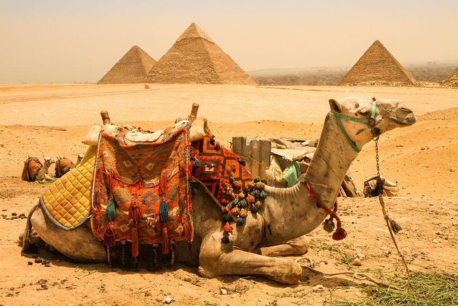 Pyramids of Giza, Sakkara & Memphis: Private Tour With Lunch - Additional Booking Information