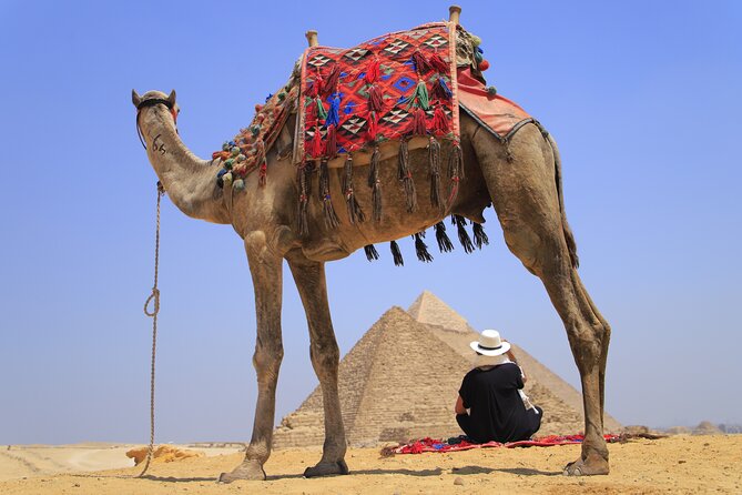 Pyramids of Giza, Sphinx and Egyptian Museum Day Tour - Traveler Reviews