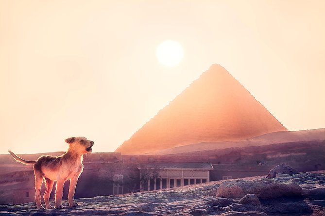 Pyramids of Giza & Sphinx & Valley Temple Tour With Camel Ride & Egyptian Lunch - Transportation Details