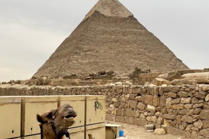 Pyramids Of Giza, The Museum Egyptian Antiques And Cairo Citadel Tour - Additional Information
