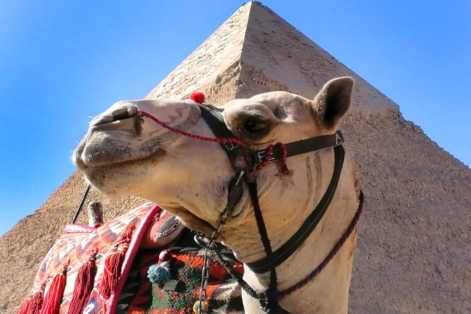 Pyramids of Giza, the Sphinx, the Egyptian Museum and Khan El-Khalili Bazaar - Common Questions