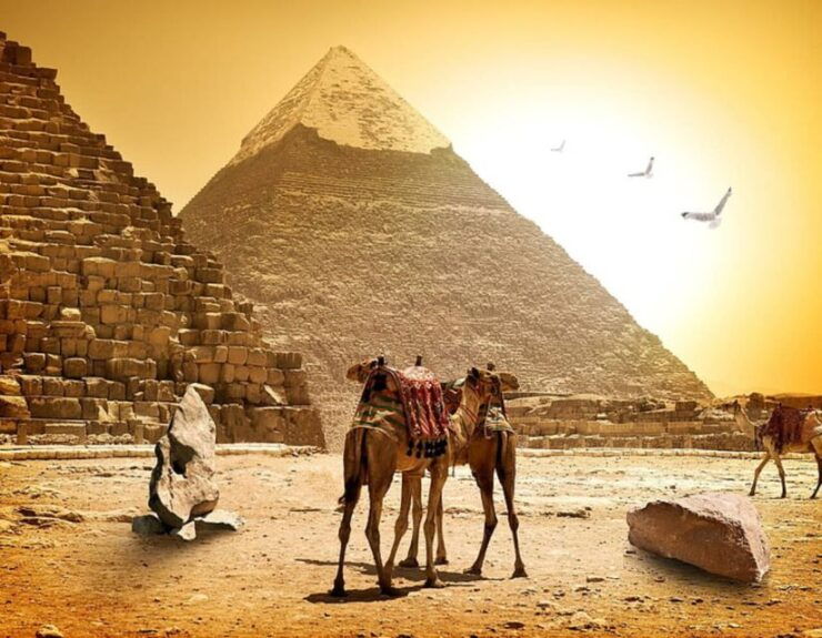 Pyramids, Sakkara & Memphis Private Tour With Lunch - Tour Details