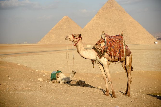 Pyramids, Sphinx & Tourist Bazaar Tour From Cairo Airport - Booking and Cancellation Policy