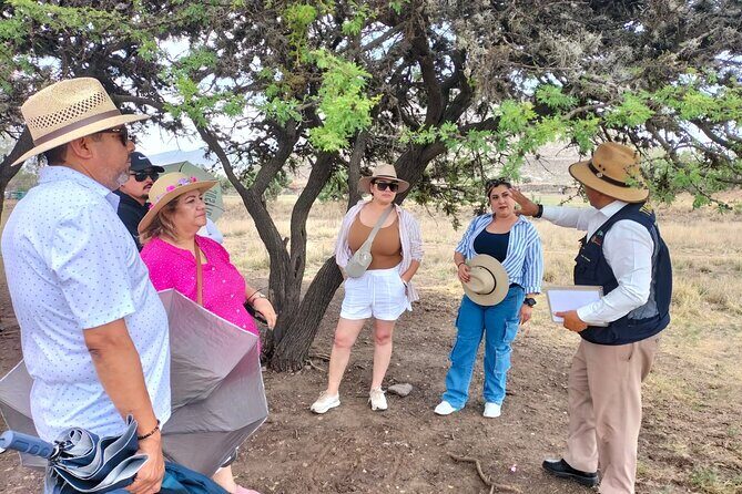 Pyramids Tour, Plaza of the 3 Cultures and Basilica of Guadalupe - FAQ