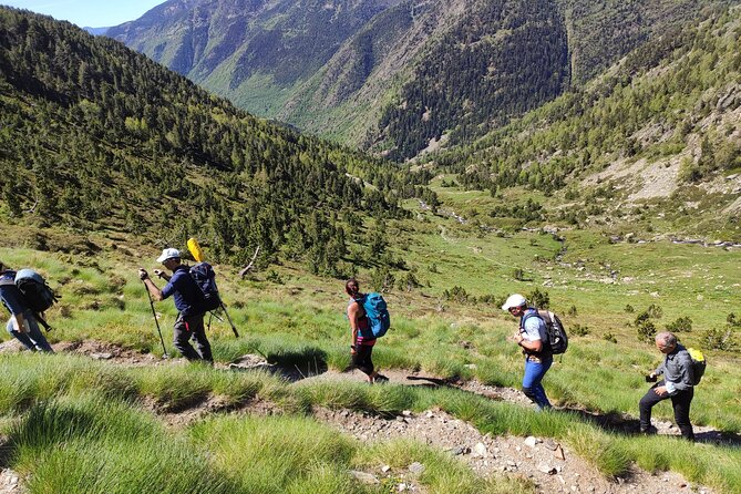 Pyrenees Hiking Experience From Barcelona. Small Group Tour - Tour Details