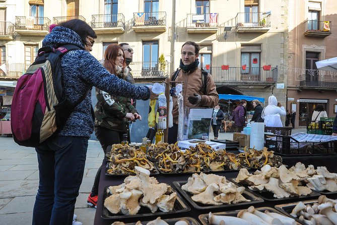Pyrenees & Medieval Towns Small Group Tour From Barcelona - Positive Feedback on the Tour Guide