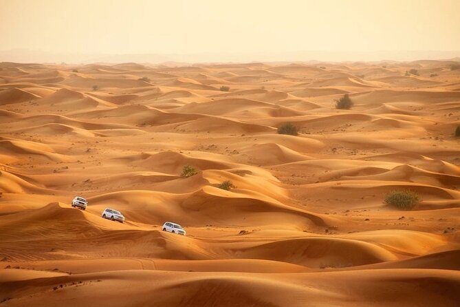 Qatar Dune Buggy Private Experience - Cancellation Policy