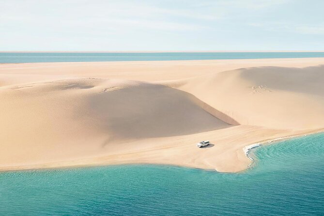 Qatar Private Half-Day Desert Safari Tour From Doha - Camel Riding Experience