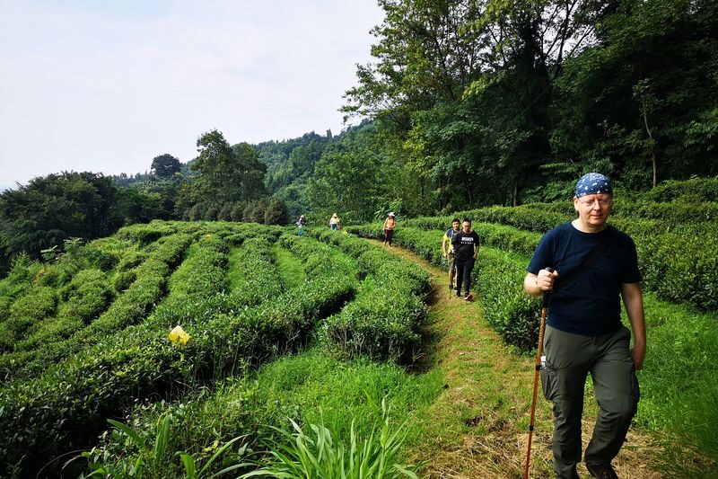 Qingcheng Outer Mountain Day Trip: Hike and Explore Ancient Trails on Shangdao Mountain, Descend and Discover Culinary Delights in a Charming Town - Eatwith - Qingcheng’s outer trails, in five points