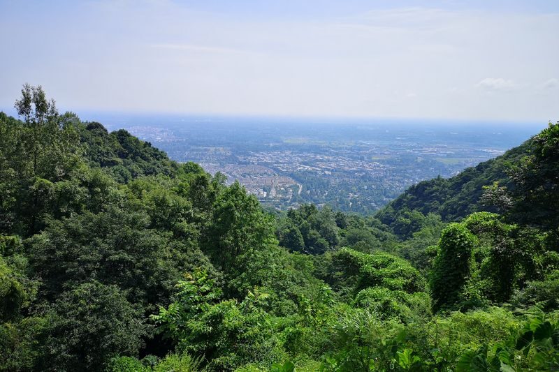 Qingcheng Outer Mountain Day Trip: Hike and Explore Ancient Trails on Shangdao Mountain, Descend and Discover Culinary Delights in a Charming Town - Eatwith - Who should book this Qingcheng day trip?