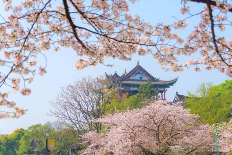 Qingchuan Pavilion Park - Discovering Qingchuan Pavilion Park: An Authentic Cultural Escape