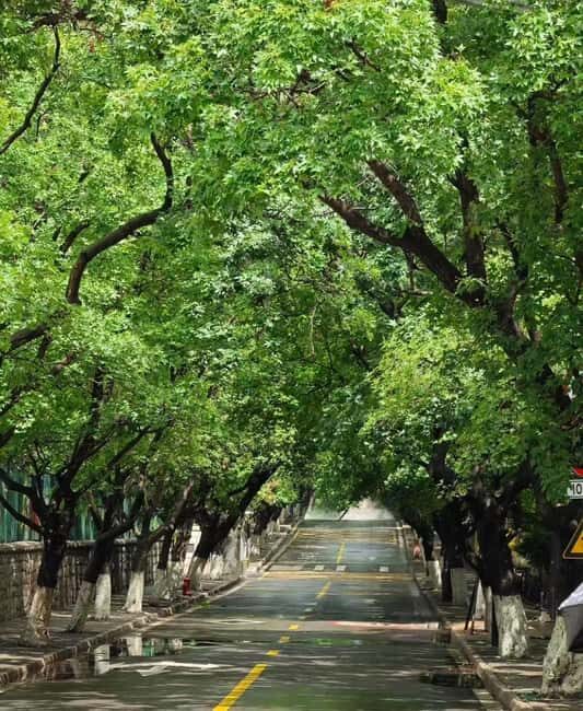 Qingdao: Badaguan Scenic Area Guided Walking Tour - Good To Know