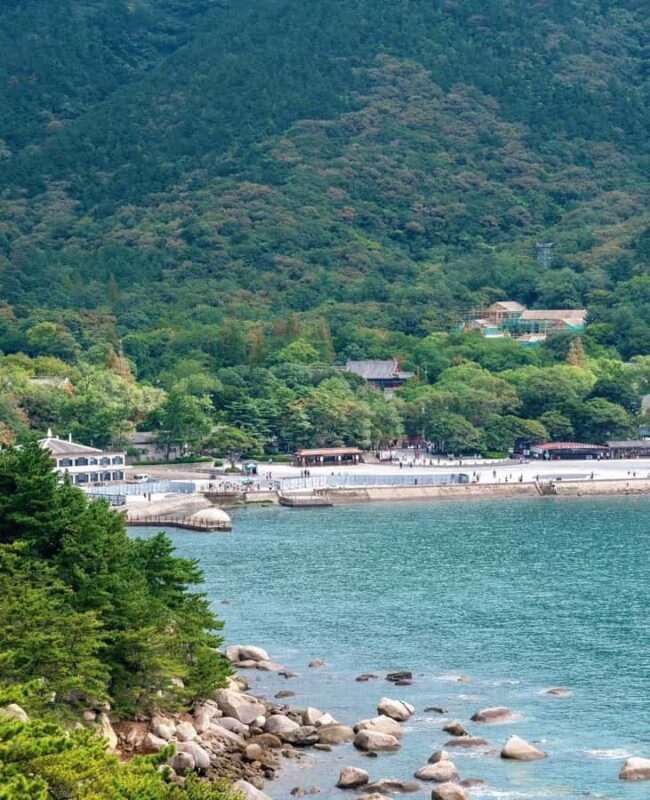 Qingdao Laoshan Coastal Adventure: Mountains, Temples & Tea - Good To Know