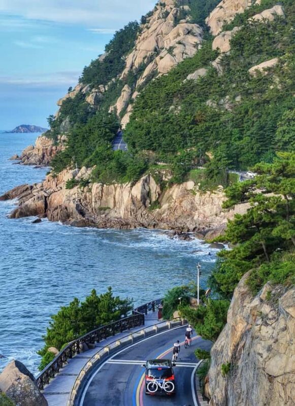 Qingdao Laoshan Coastal Adventure: Mountains, Temples & Tea - Practical Details and Experience Quality