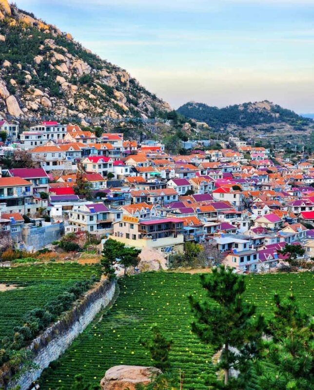 Qingdao Laoshan Coastal Adventure: Mountains, Temples & Tea - Final Thoughts