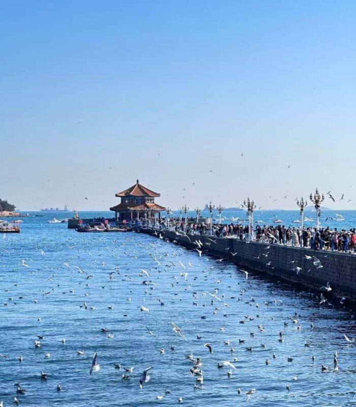 Qingdao: Offshore City Highlights with Fan Workshop & Market - Good To Know