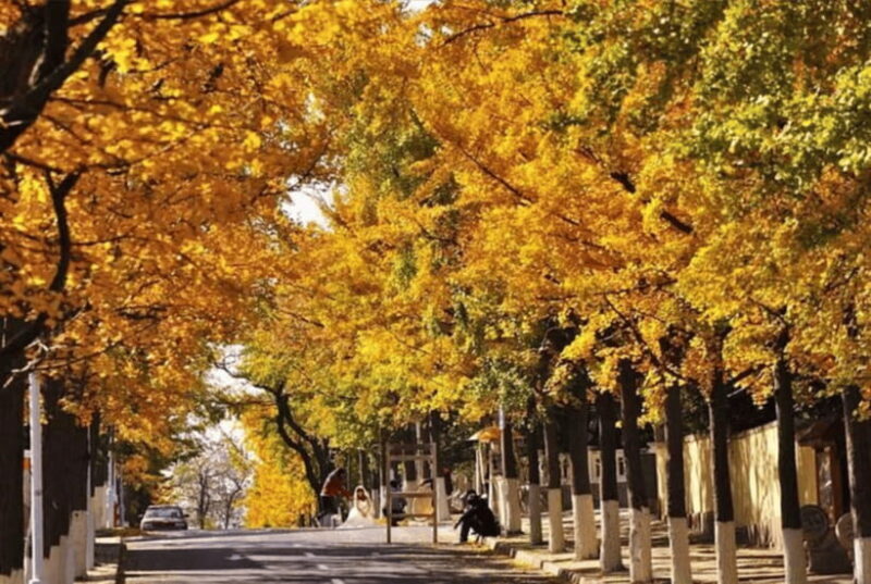 Qingdao: Private City Tour with Beer & a Delectable Lunch - Frequently Asked Questions