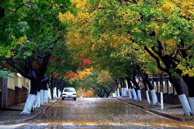 Qingdao Private Tour: City Highlights and Laoshan Mountain with Lunch+Cable Car - FAQs