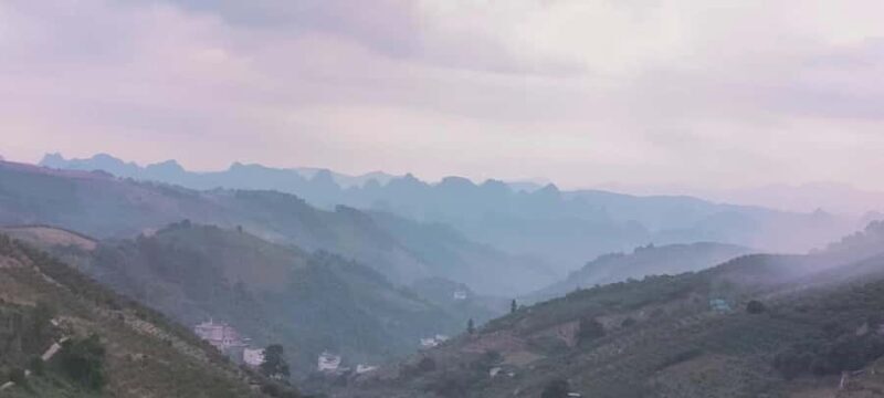 Qixianfeng Tea Plantation Tour in Yangshuo - An In-Depth Look at the Qixianfeng Tea Plantation Tour