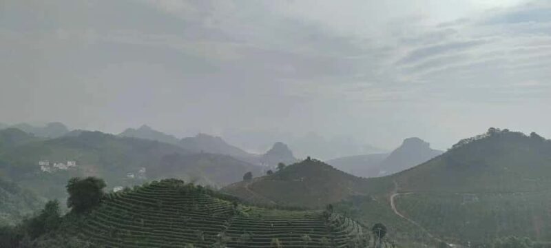 Qixianfeng Tea Plantation Tour in Yangshuo - Final Thoughts