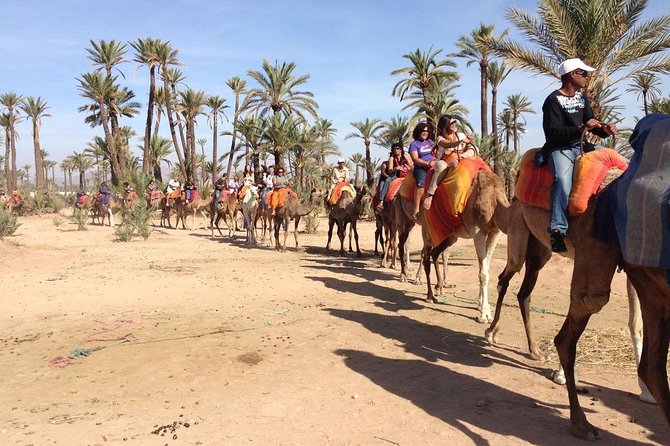 Quad and Camel Ride - Guide Information