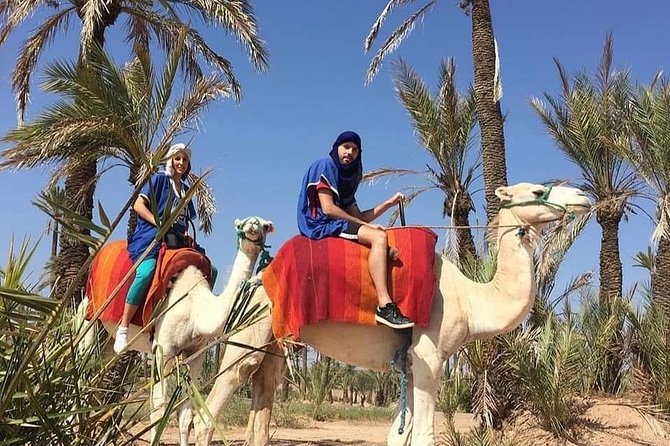 Quad and Camel Ride - Accessibility Considerations