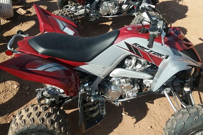 Quad and Camel Ride - Safety Measures