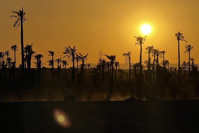 Quad and Camel Ride in La Palmeraie De Marrakech - Inclusions