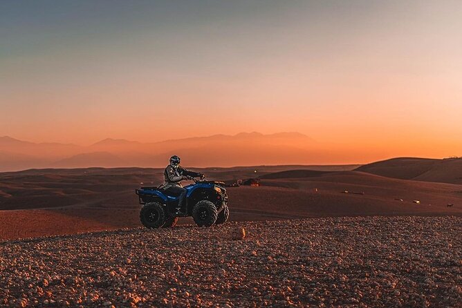 Quad and Dromedary at the Palmeraie of Marrakech With Transport - Overview of the Palmeraie of Marrakech