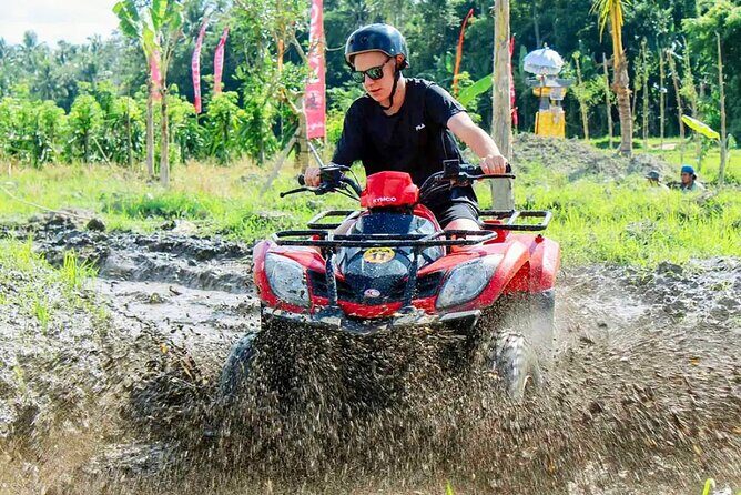 Quad Bike Adventure and Monkey Forest Experience All-Inclusive - Good To Know