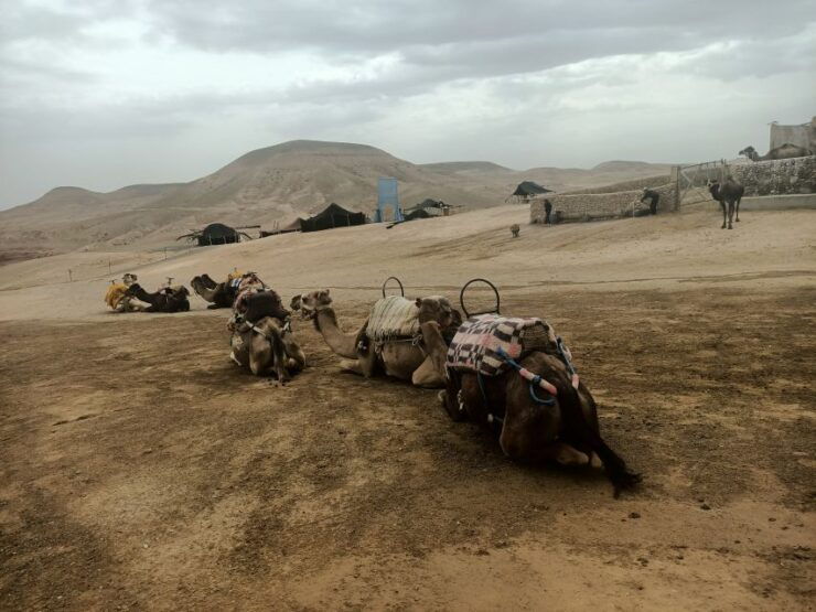 Quad Bike and Camel Ride in Agafay Desert With Lunch - Activity Details